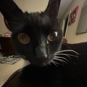 Meet your Posher, Charity